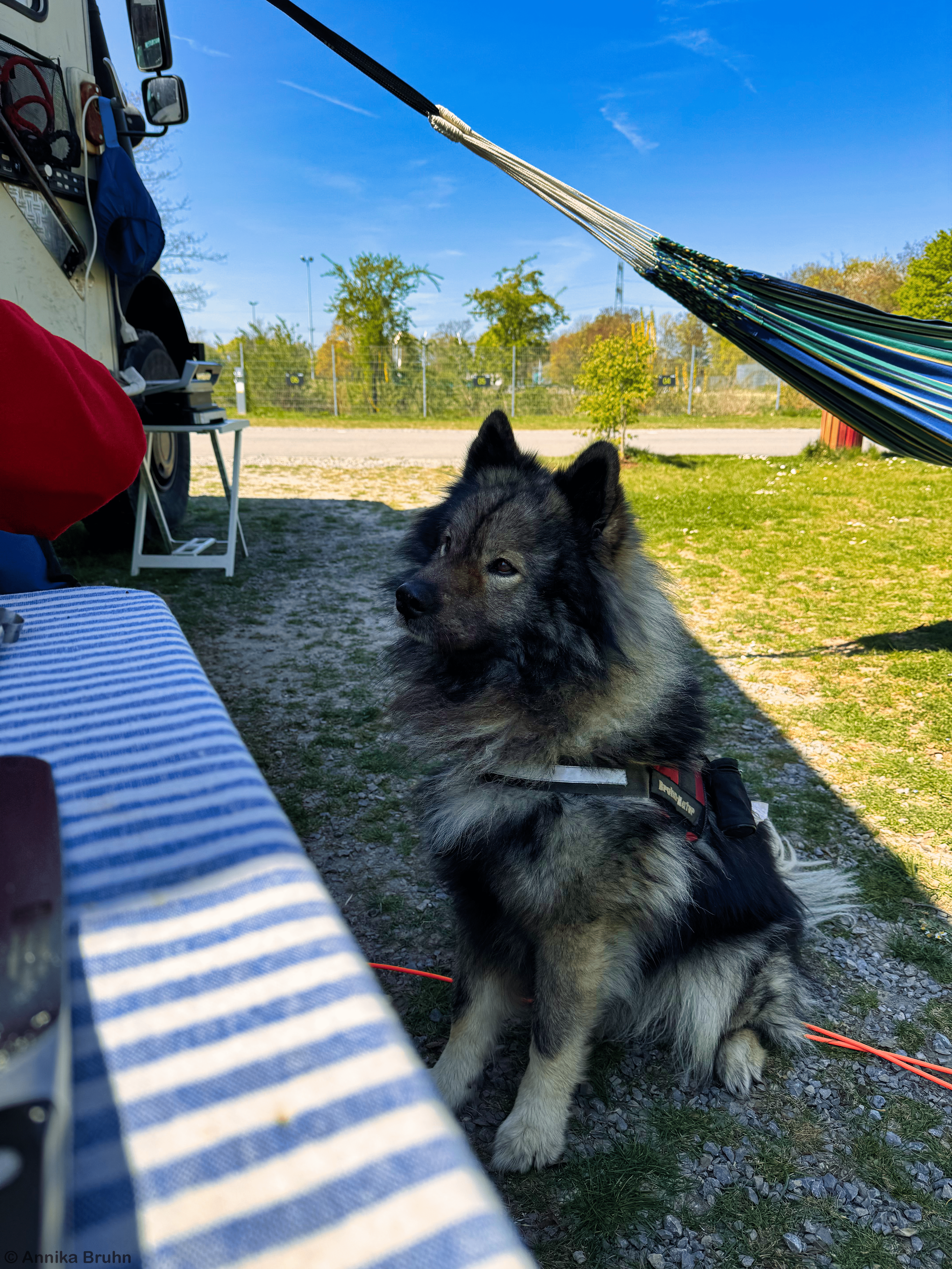 Bekomme ich etwas ab